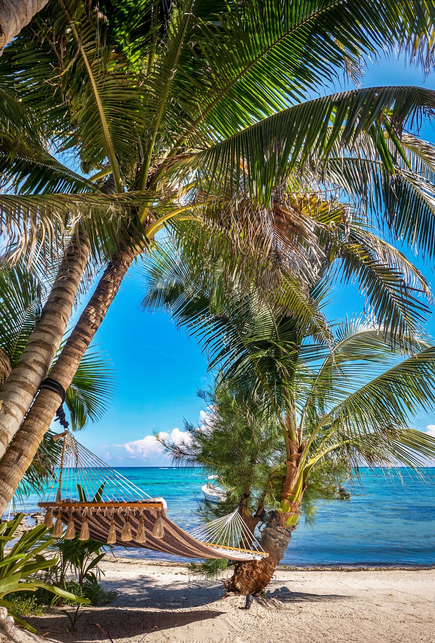 Bahia Tankah 30 - Image 27