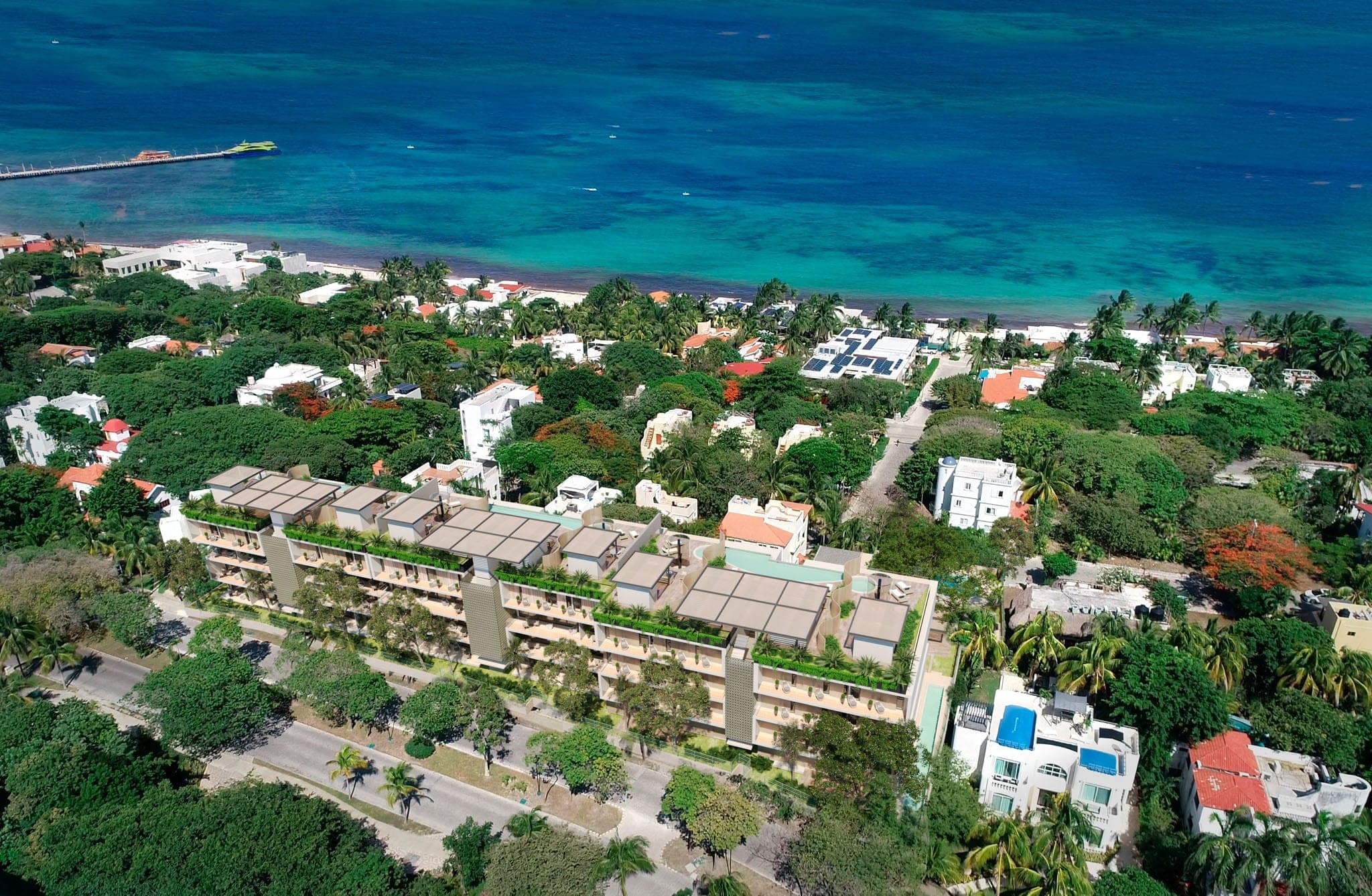 Soleii C-201 - Image 1