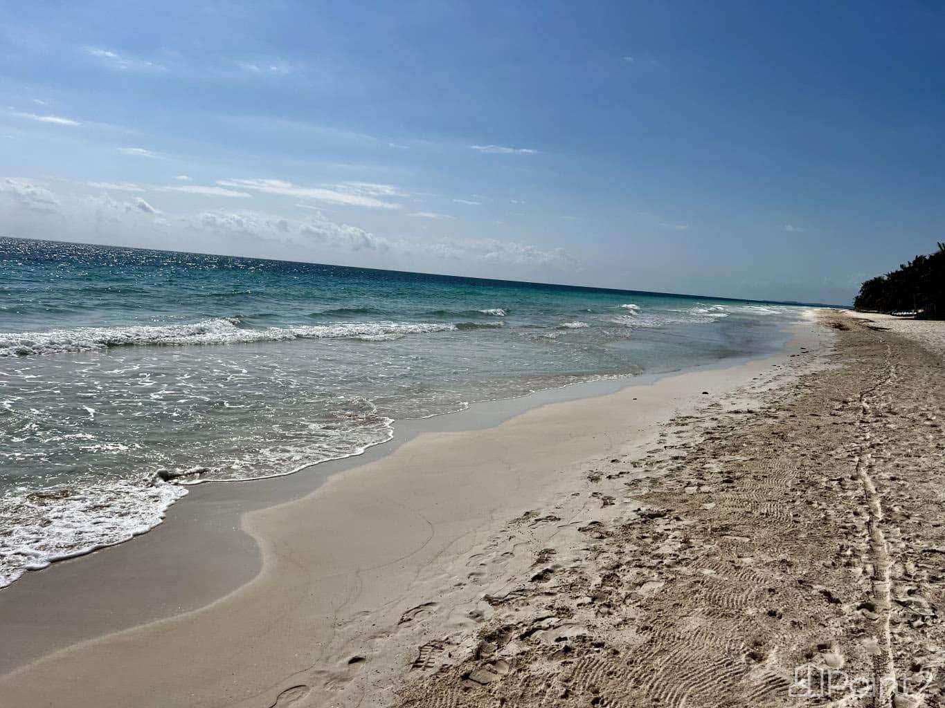 Tulum Hotel Zone Beachfront Land - Image 4