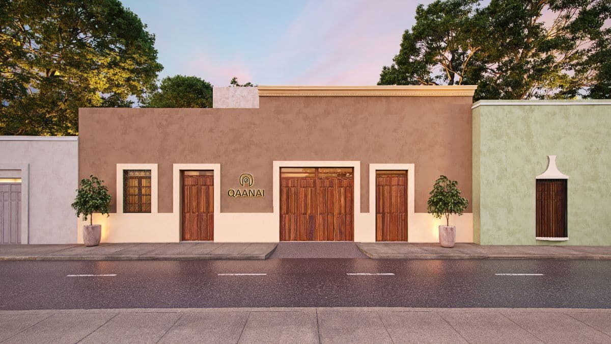 Qanaai Nah 101 - Image 4