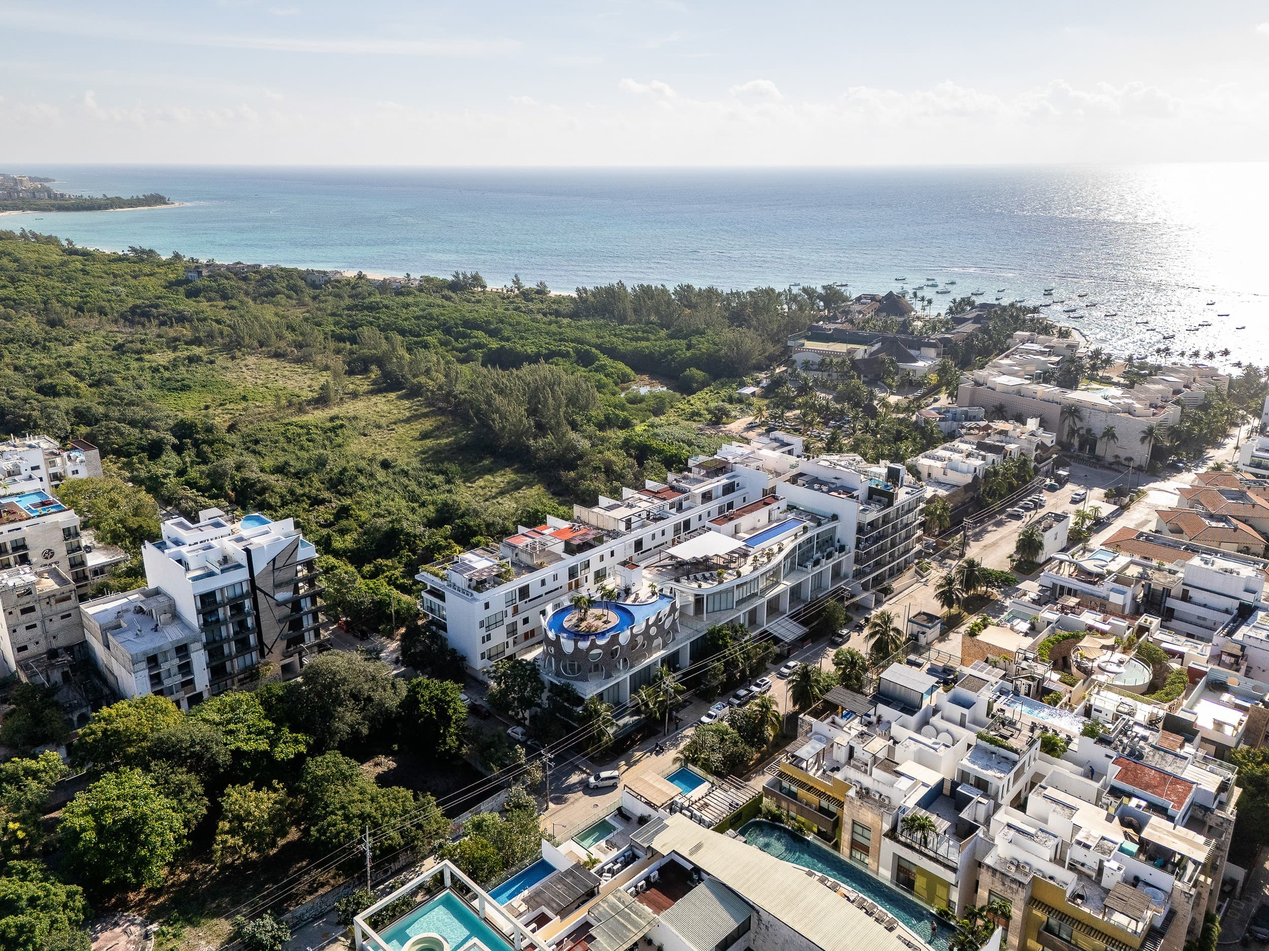 Siaan 201 - Image 6