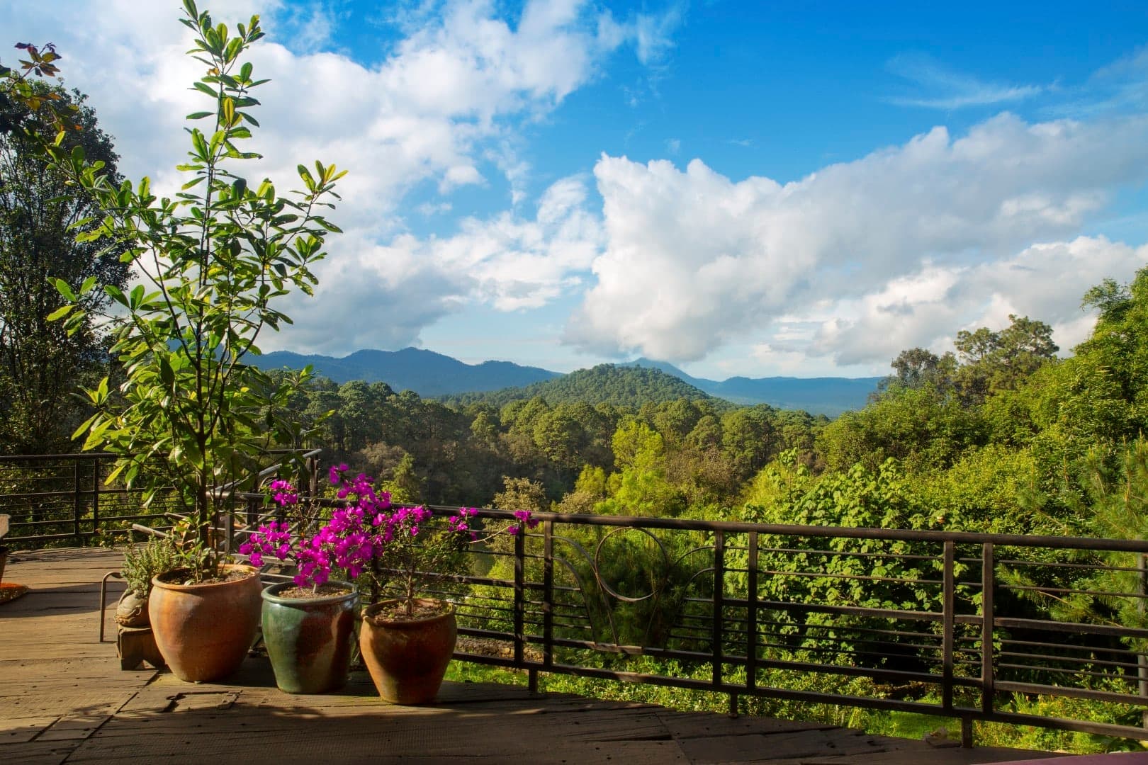 Ah0 Art Villa & Investment land - Image 3