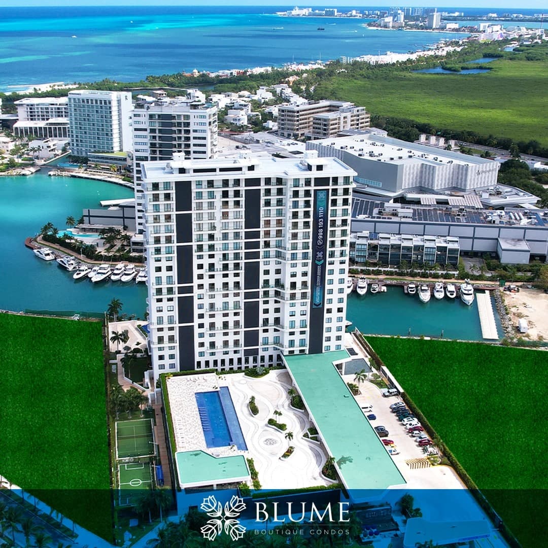 Blume 1C - Image 33