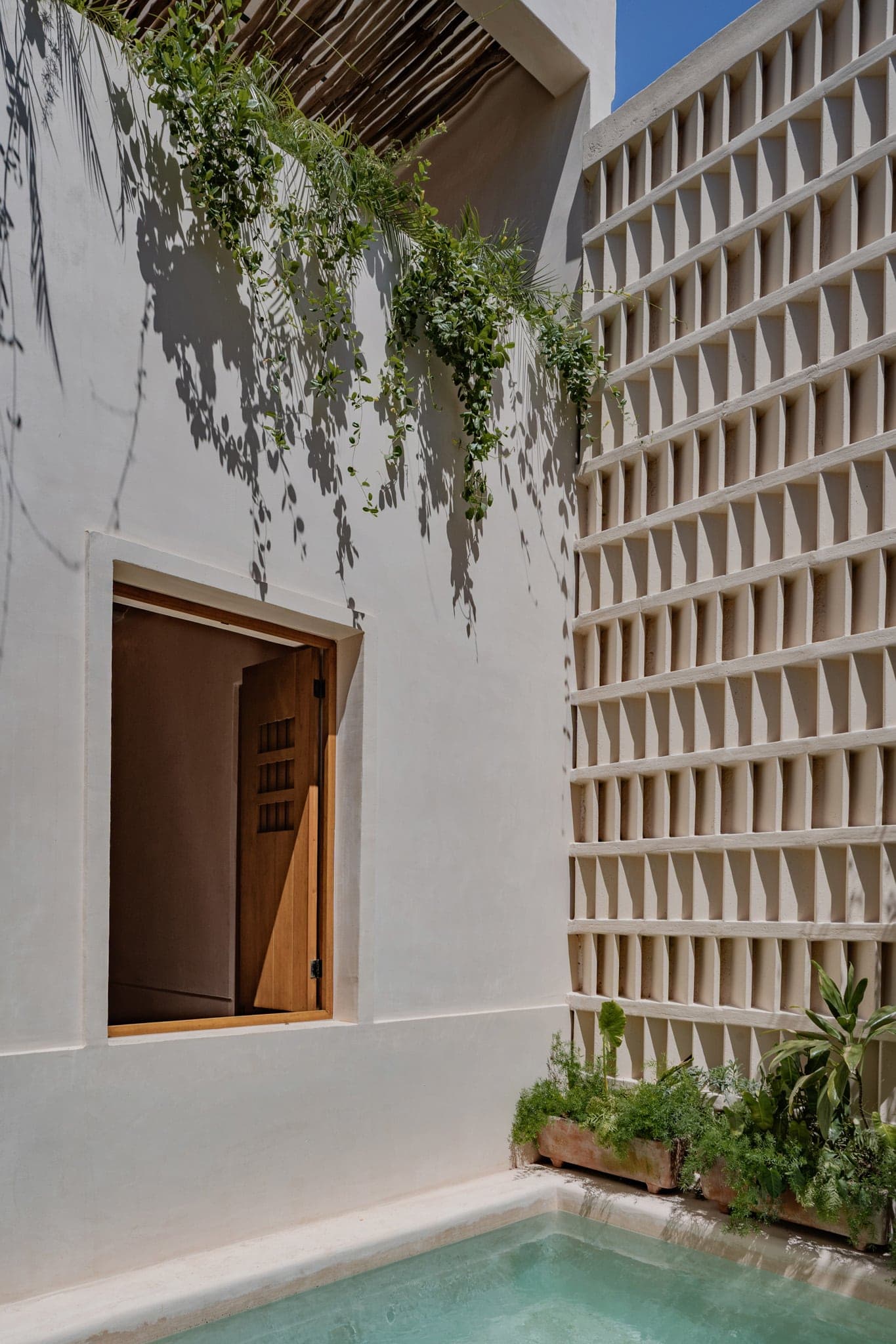 Caracol 525-F - Image 25