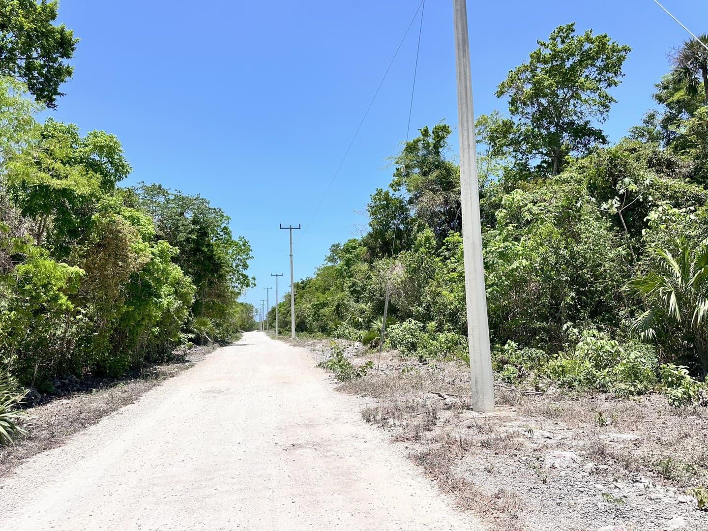 Investment Land For Sale - Image 1