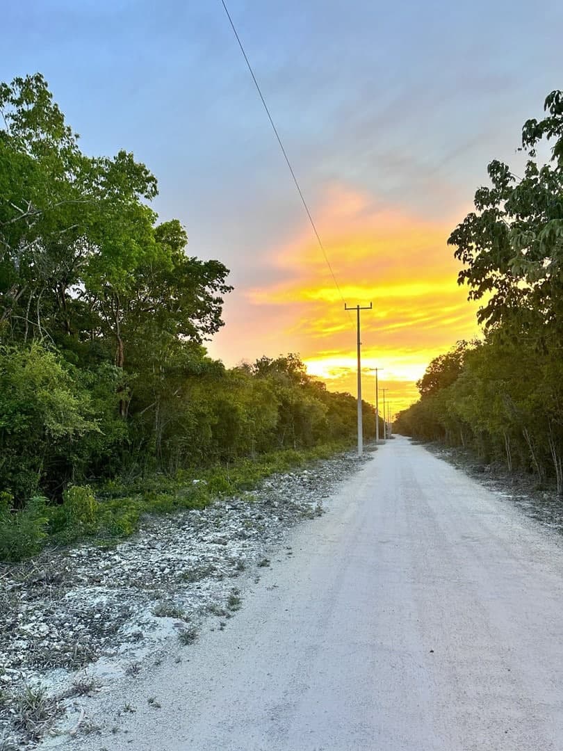 Investment Land For Sale - Image 35