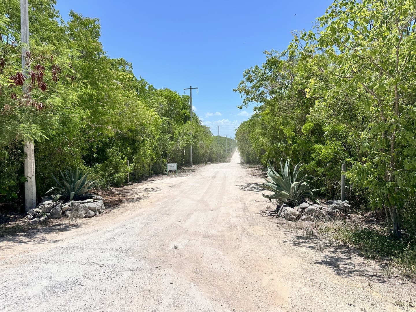 Investment Land For Sale - Image 9
