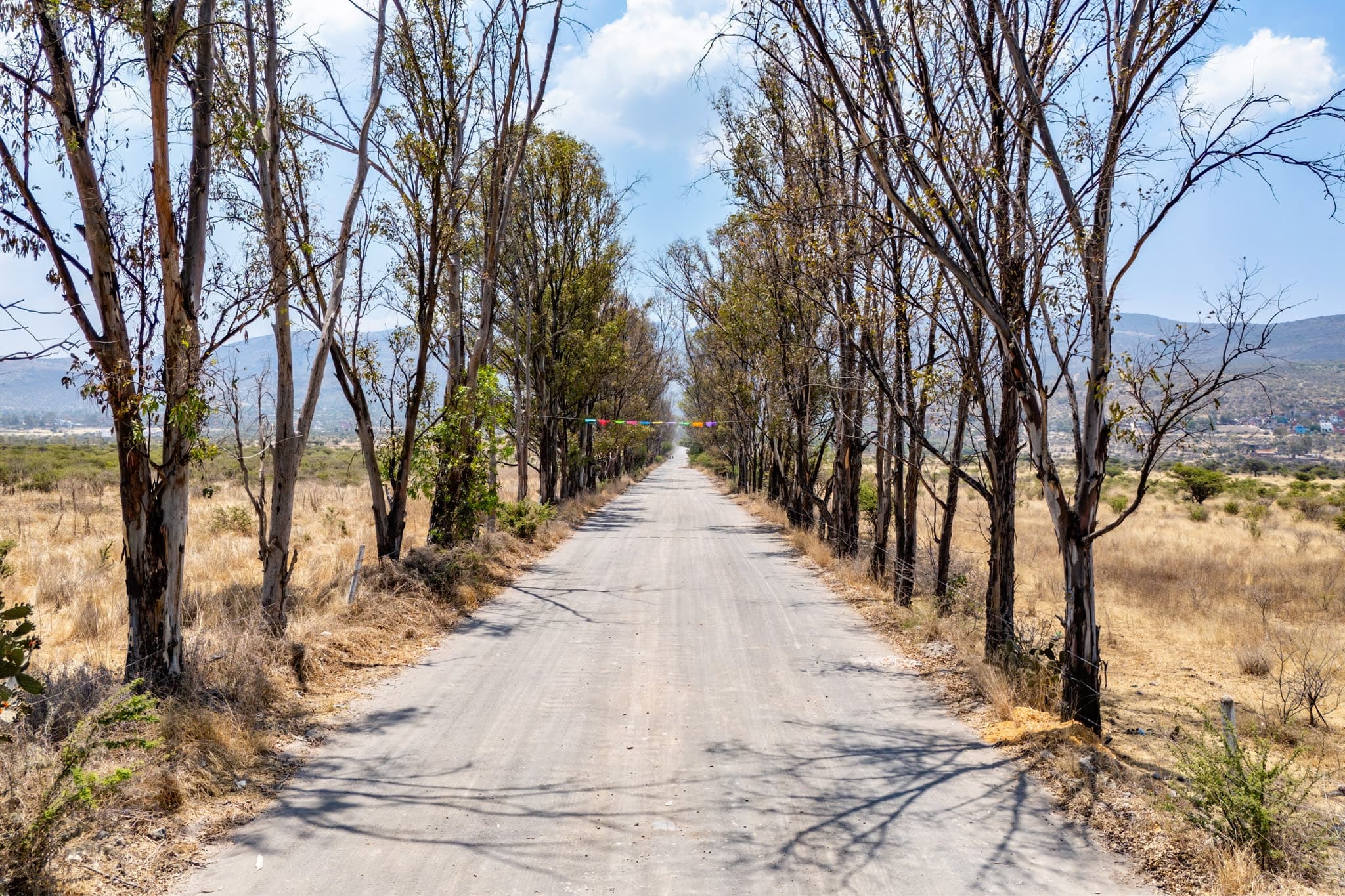 Rancho Guadalupe - Image 7