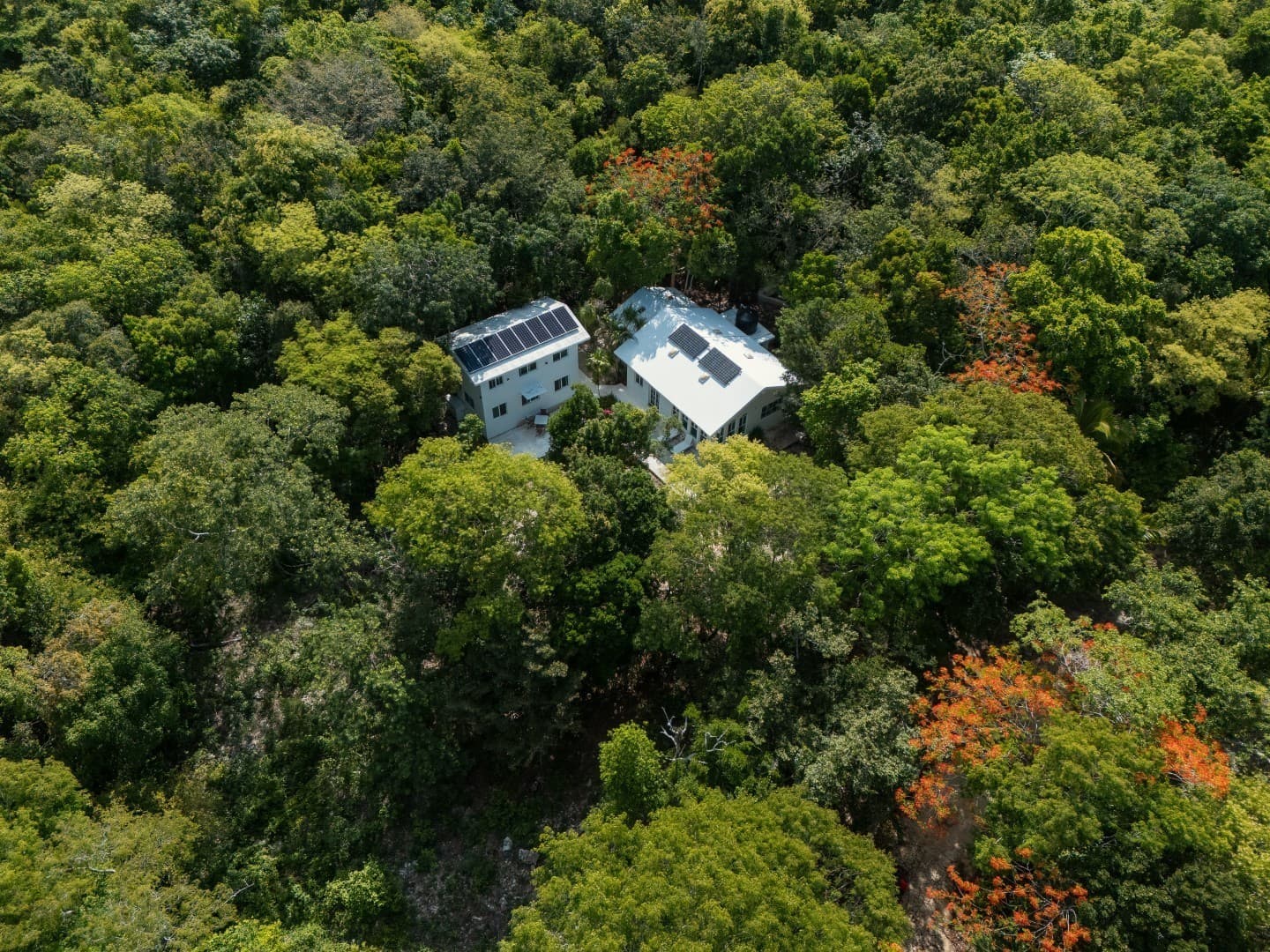Jungle Homes on 2.5 Acres - Image 1