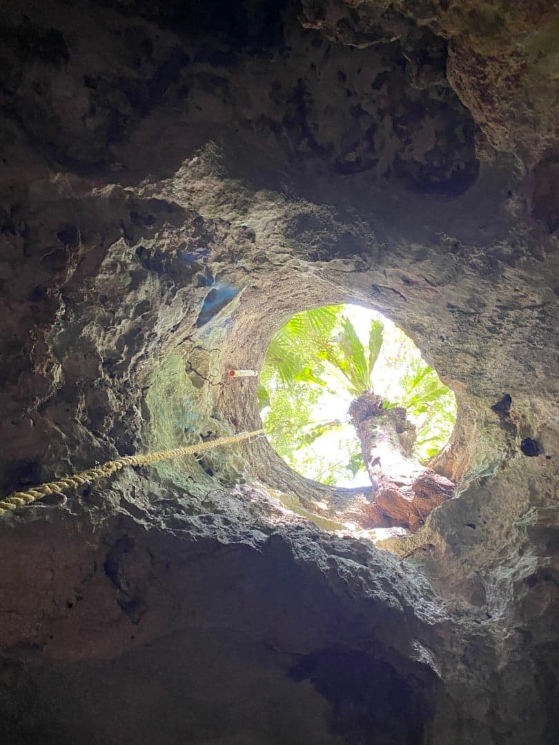 Jungle Homes on 2.5 Acres - Image 13