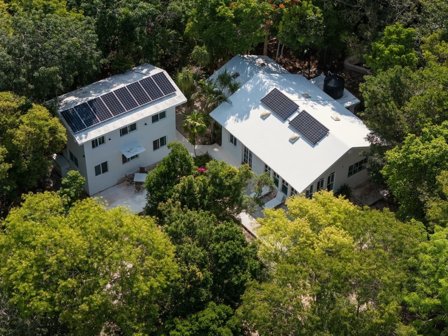 Jungle Homes on 2.5 Acres - Image 2