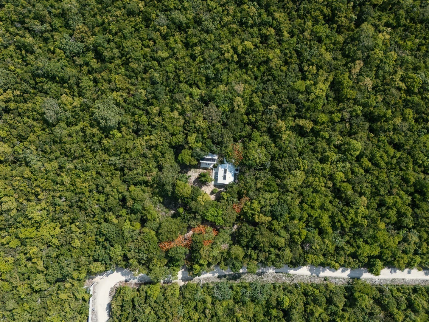 Jungle Homes on 2.5 Acres - Image 3