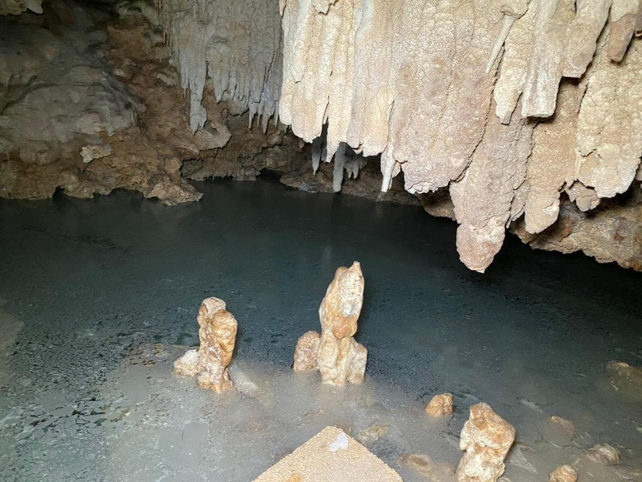 Jungle Homes on 2.5 Acres - Image 36