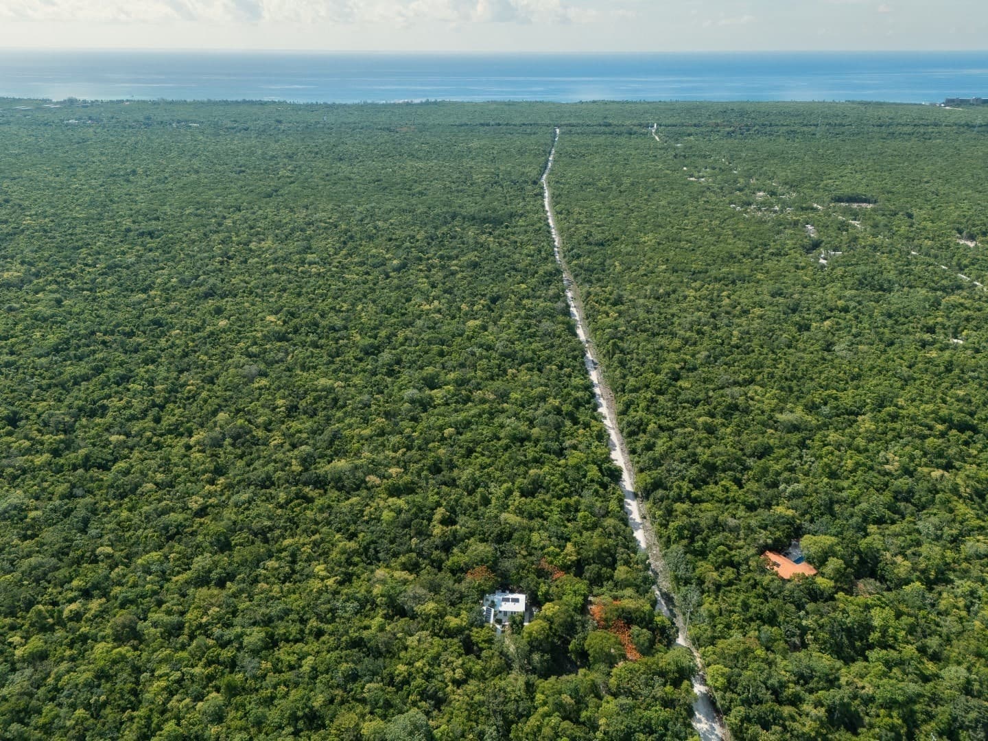 Jungle Homes on 2.5 Acres - Image 4