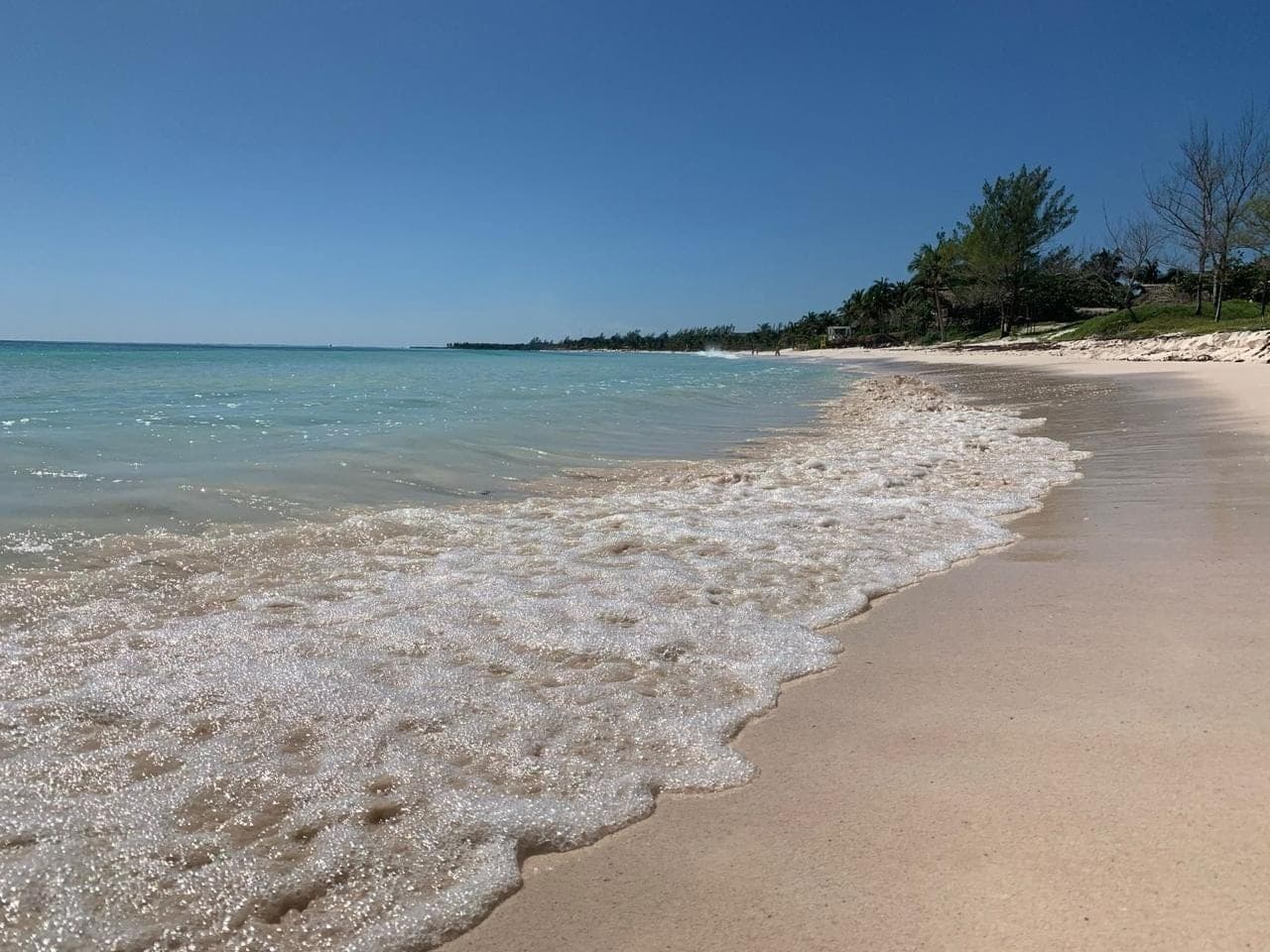 Jungle Homes on 2.5 Acres - Image 41