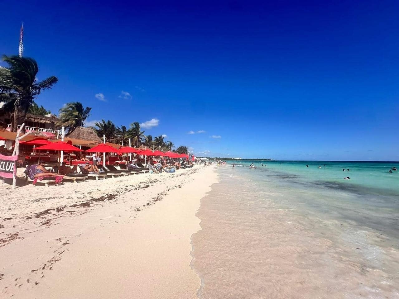 Jungle Homes on 2.5 Acres - Image 42