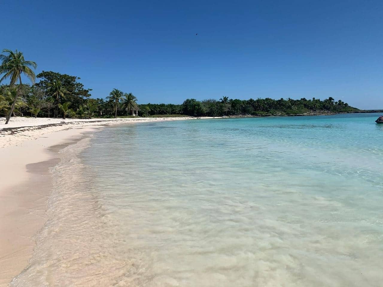 Jungle Homes on 2.5 Acres - Image 43