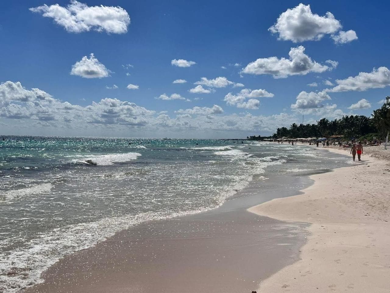 Jungle Homes on 2.5 Acres - Image 45