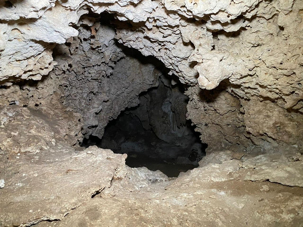 Jungle Homes on 2.5 Acres - Image 46