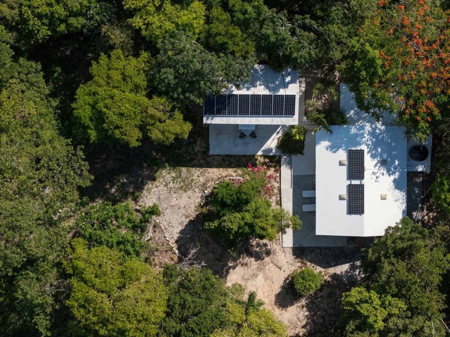 Jungle Homes on 2.5 Acres - Image 5