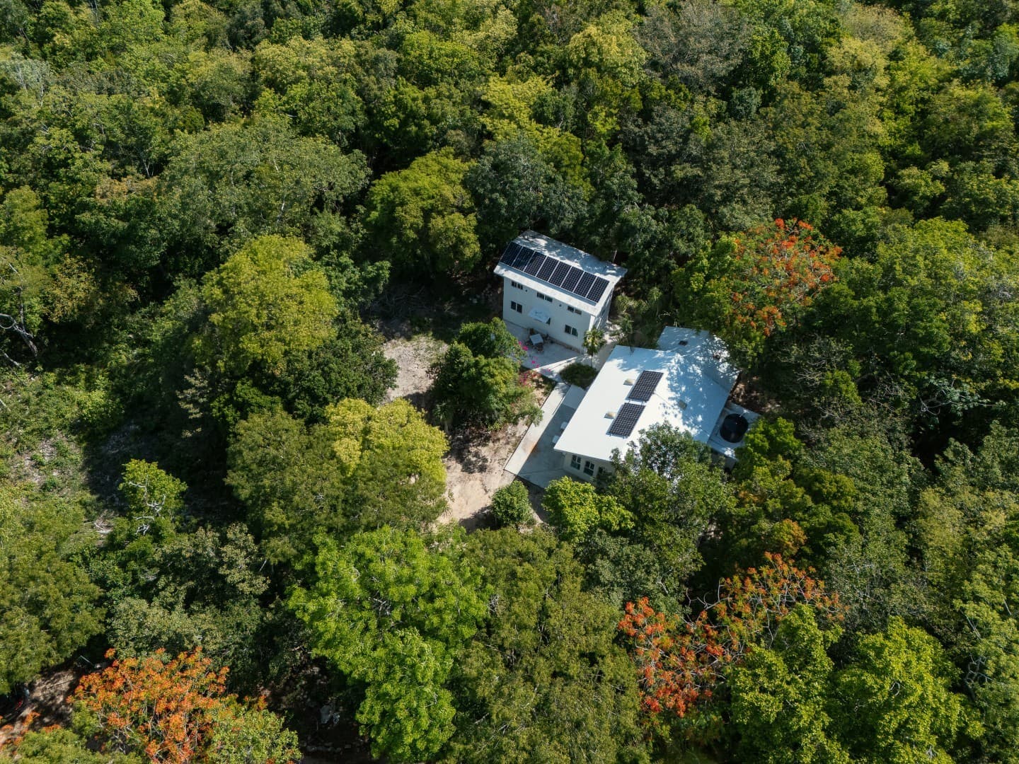 Jungle Homes on 2.5 Acres - Image 6