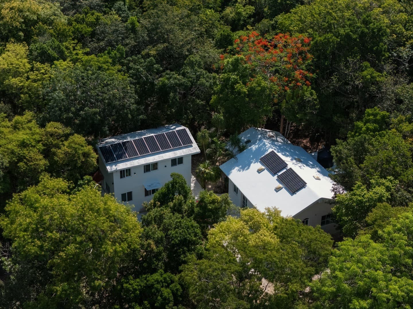 Jungle Homes on 2.5 Acres - Image 7