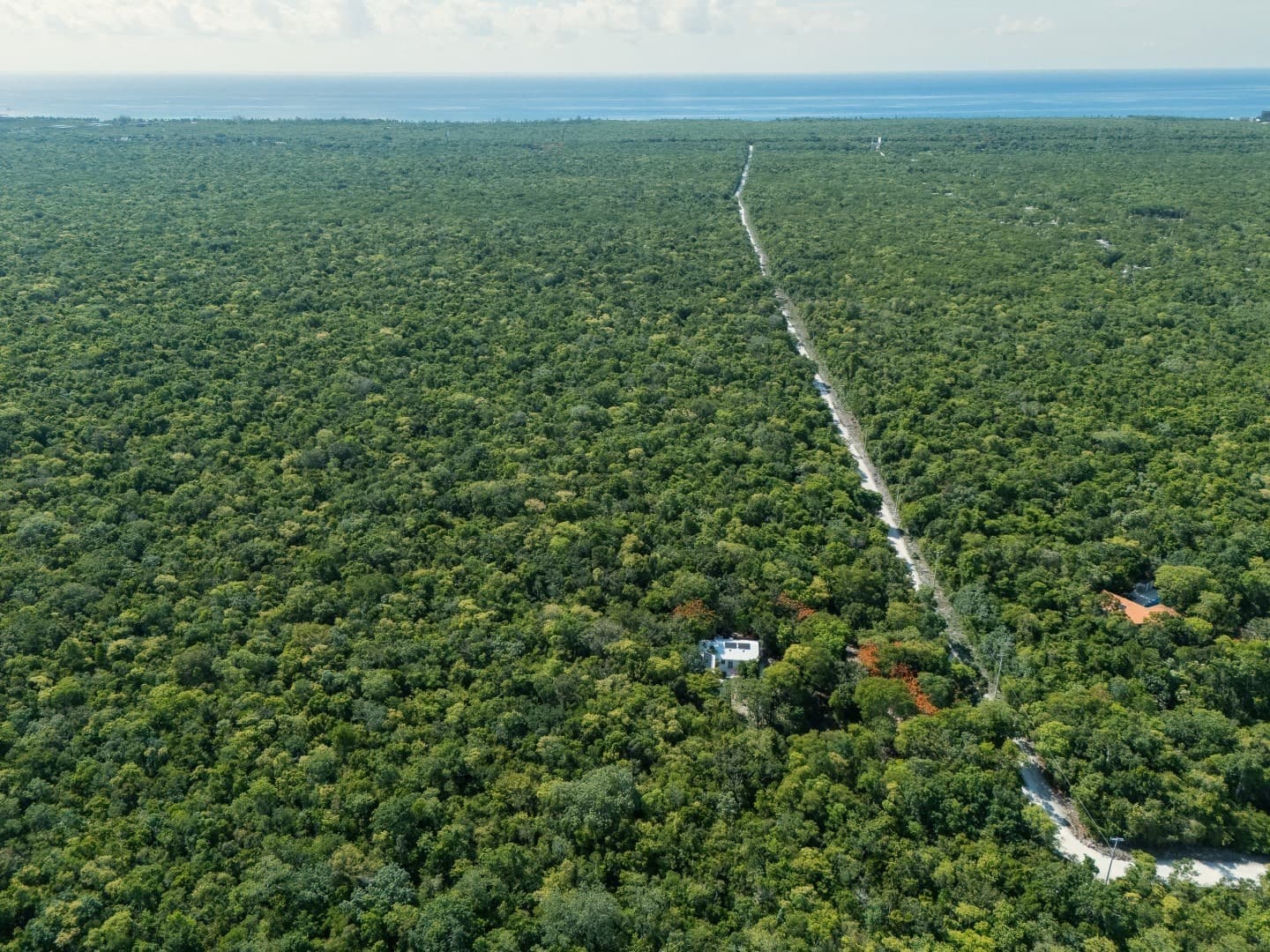 Jungle Homes on 2.5 Acres - Image 8