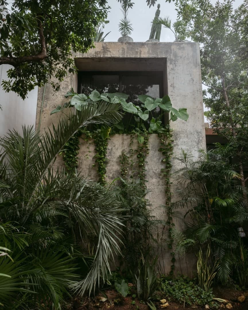 Casa Aviv - Image 3