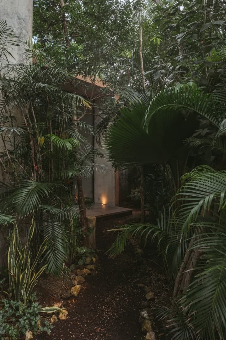 Casa Aviv - Image 4