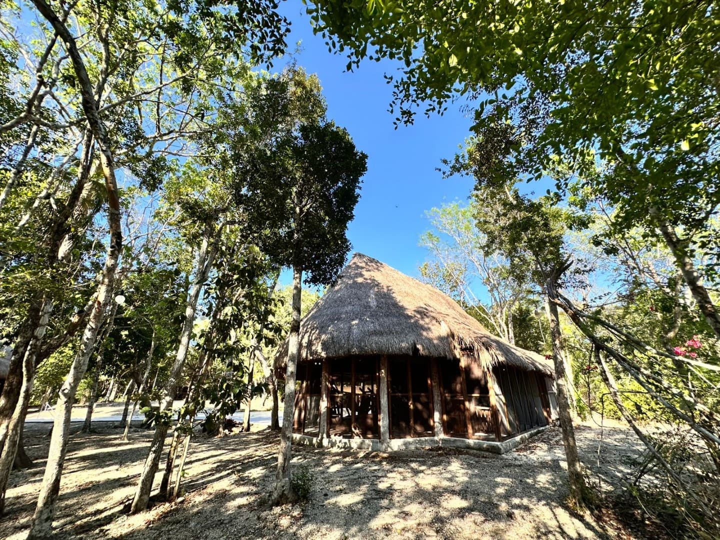 10 Cabin Jungle Retreat - Image 1