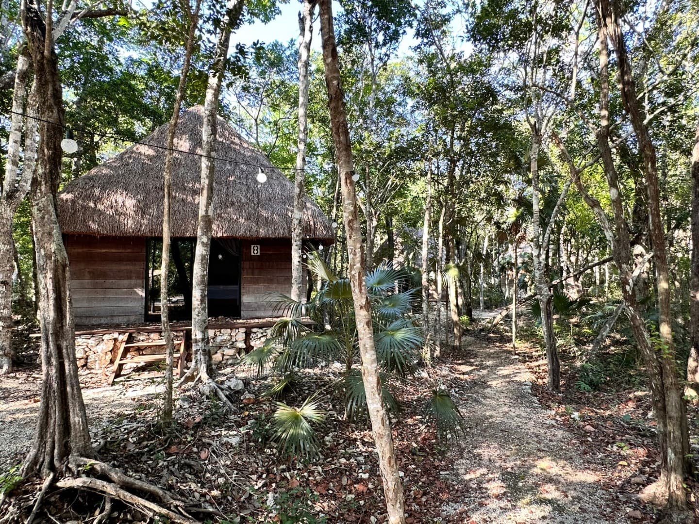 10 Cabin Jungle Retreat - Image 11