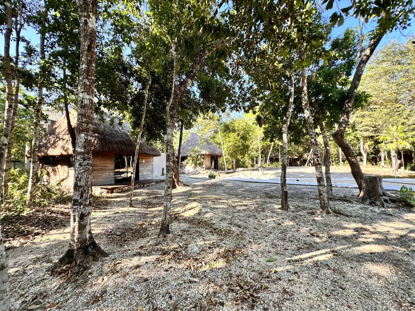 10 Cabin Jungle Retreat - Image 2