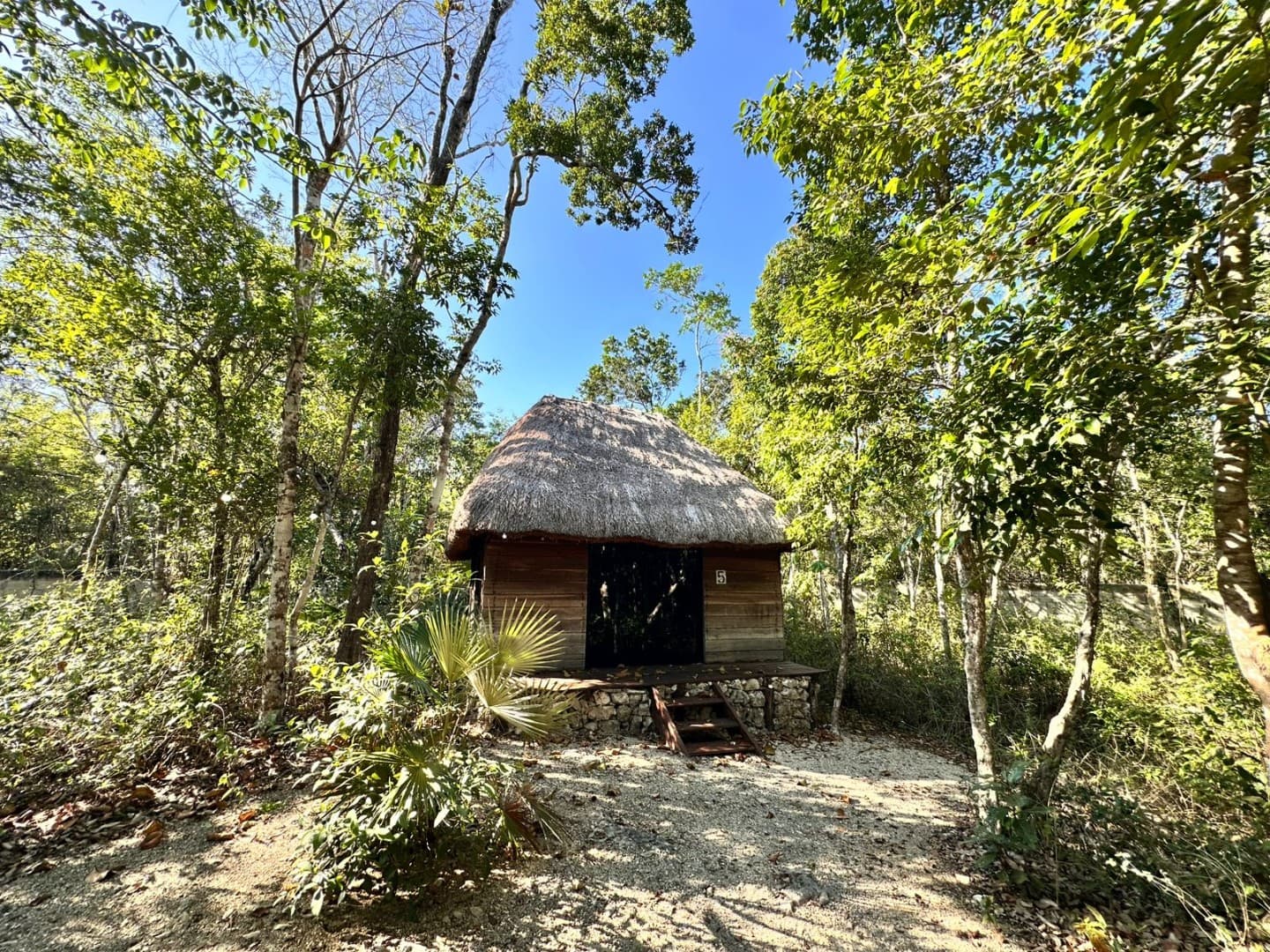 10 Cabin Jungle Retreat - Image 20