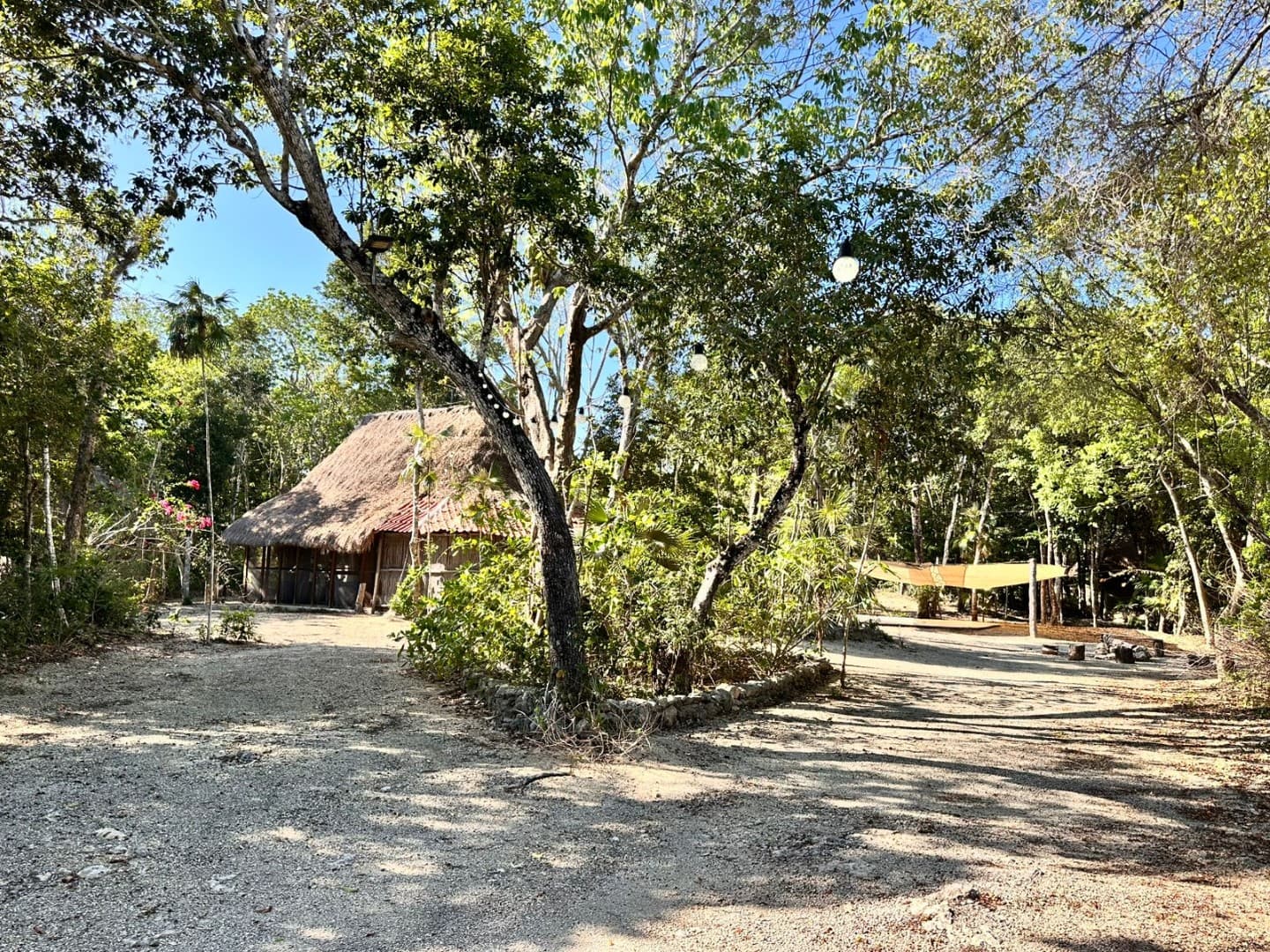 10 Cabin Jungle Retreat - Image 21