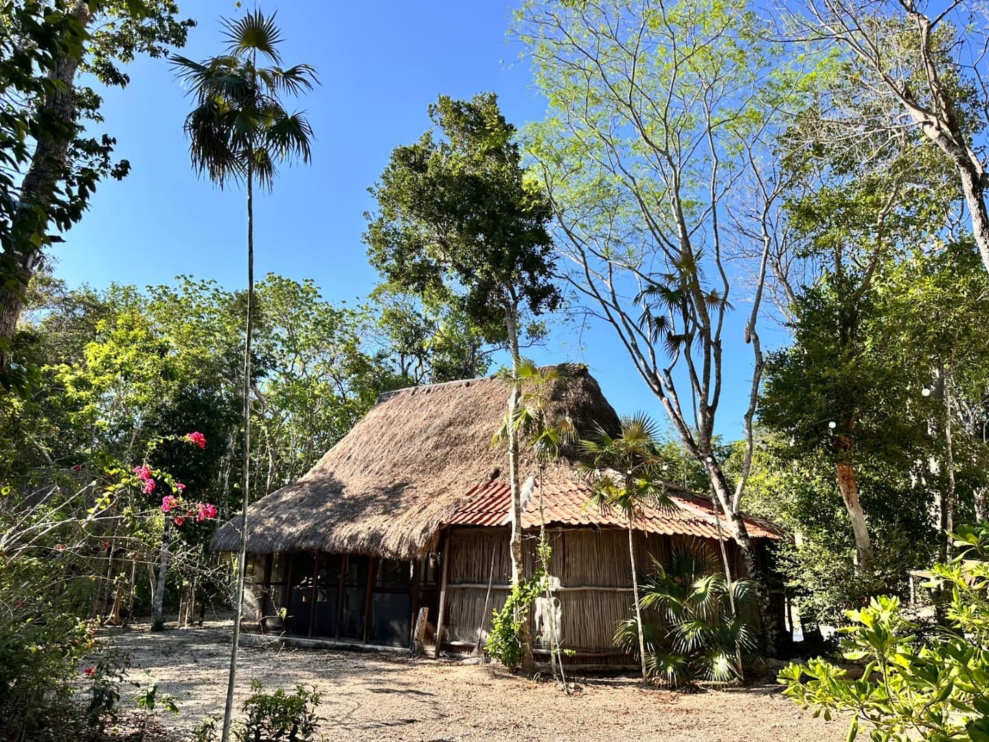 10 Cabin Jungle Retreat - Image 22