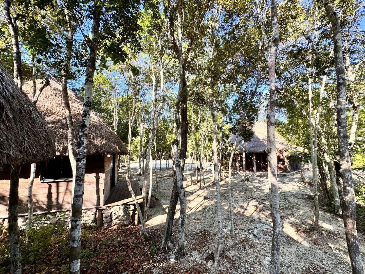 10 Cabin Jungle Retreat - Image 4