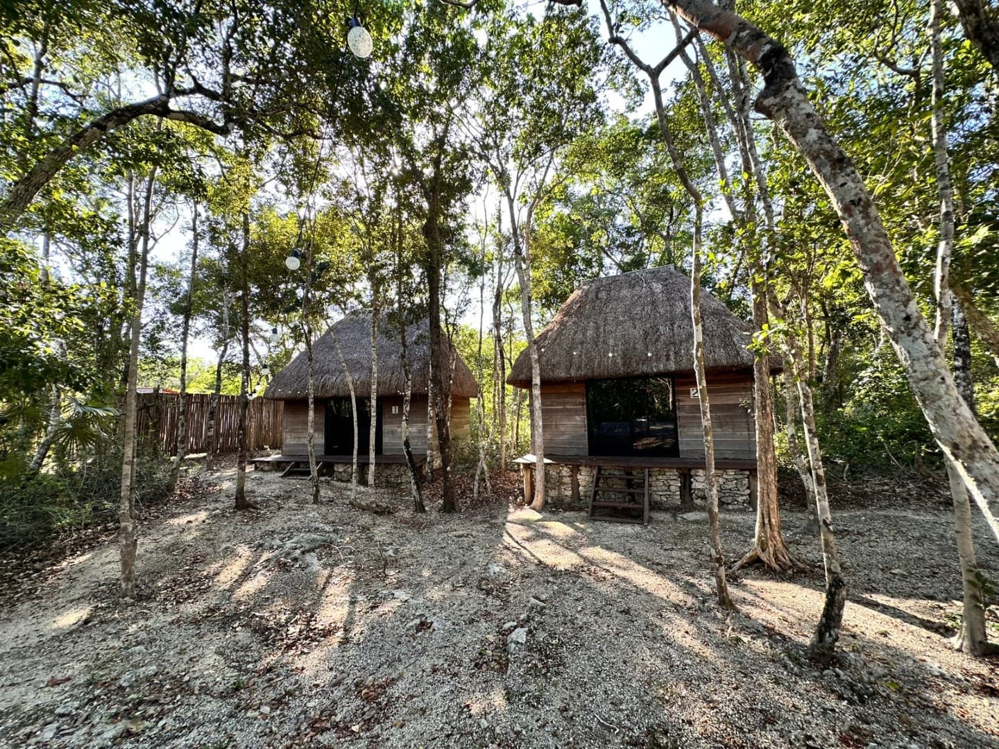 10 Cabin Jungle Retreat - Image 6