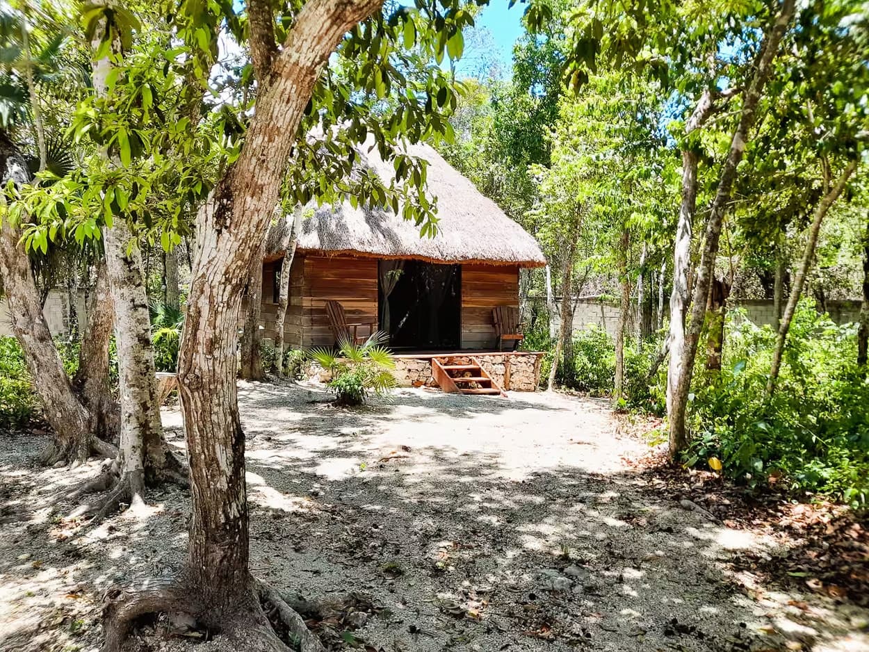 10 Cabin Jungle Retreat - Image 34