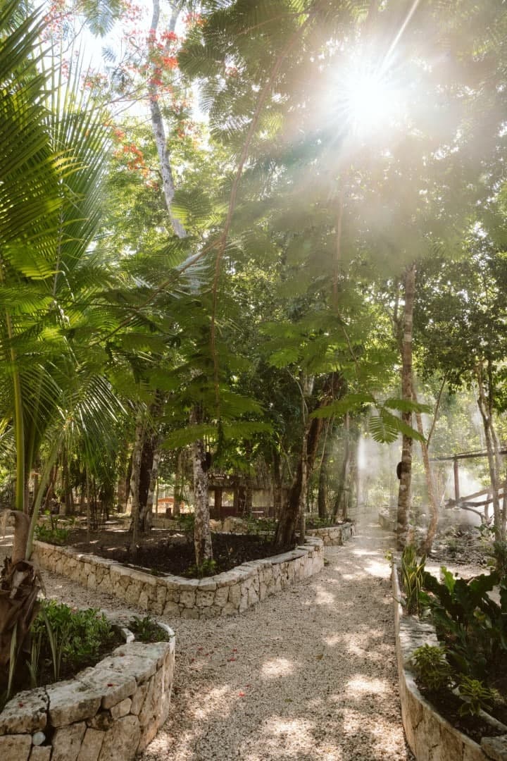 Cenote Kaax Jungle Retreat & Hotel - Image 11