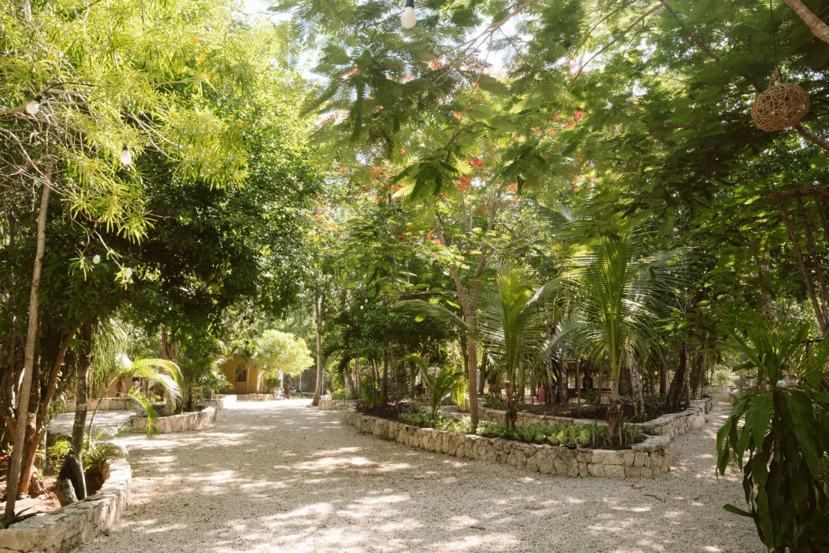 Cenote Kaax Jungle Retreat & Hotel - Image 12