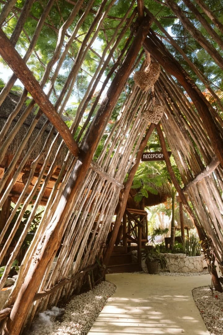 Cenote Kaax Jungle Retreat & Hotel - Image 13