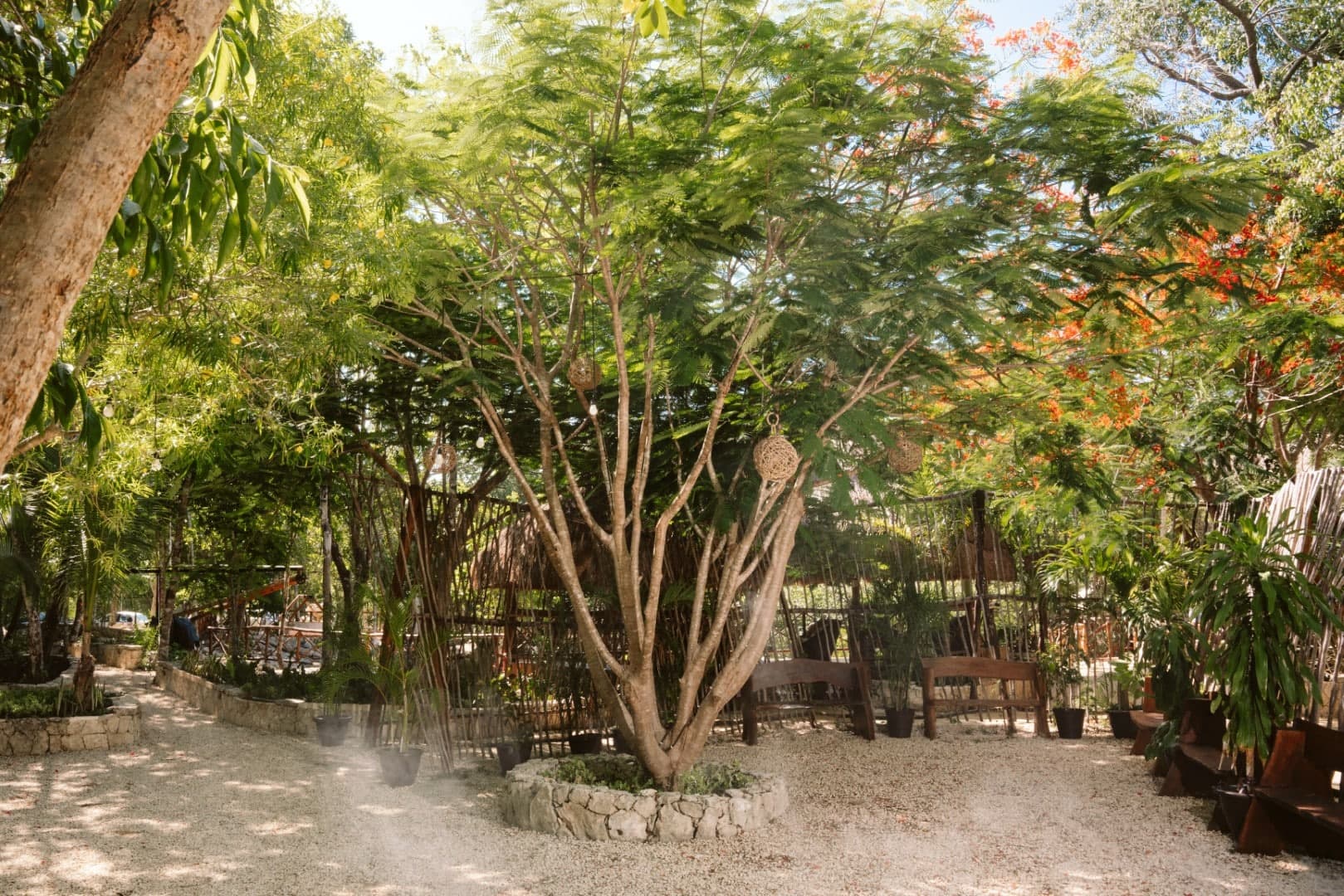 Cenote Kaax Jungle Retreat & Hotel - Image 14