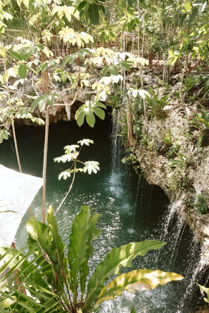 Cenote Kaax Jungle Retreat & Hotel - Image 23
