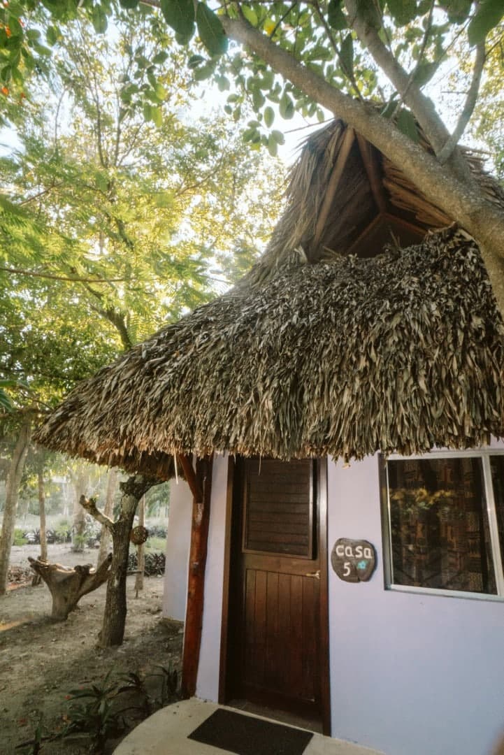 Cenote Kaax Jungle Retreat & Hotel - Image 44