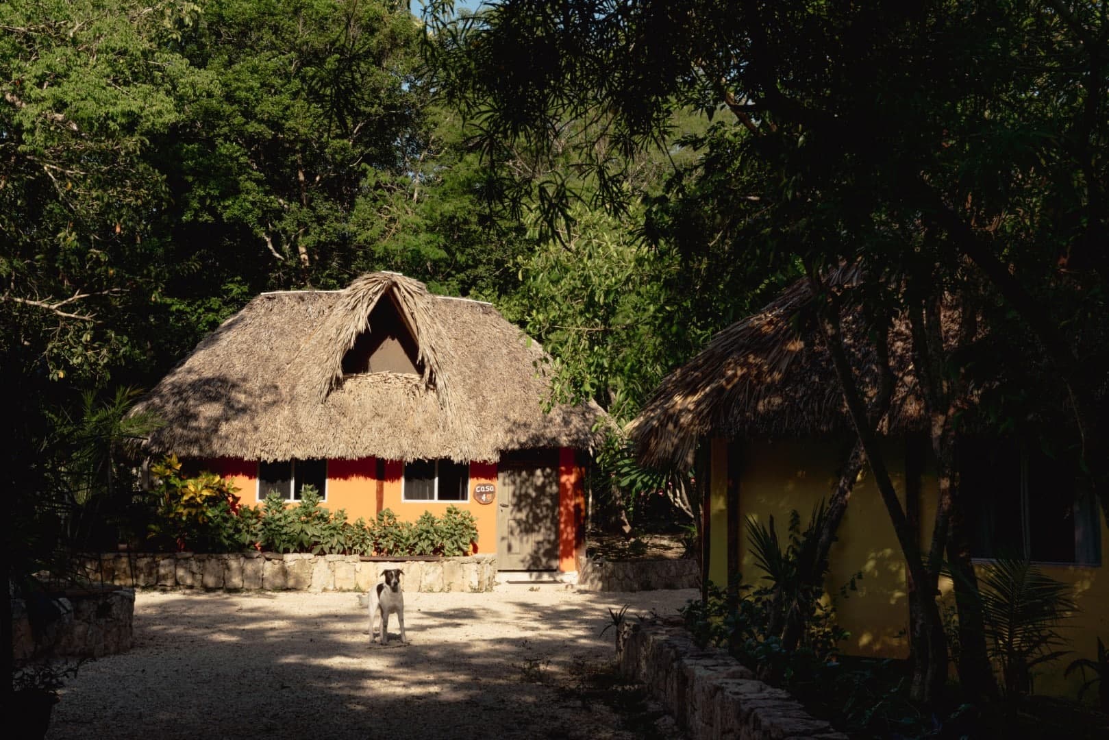 Cenote Kaax Jungle Retreat & Hotel - Image 5