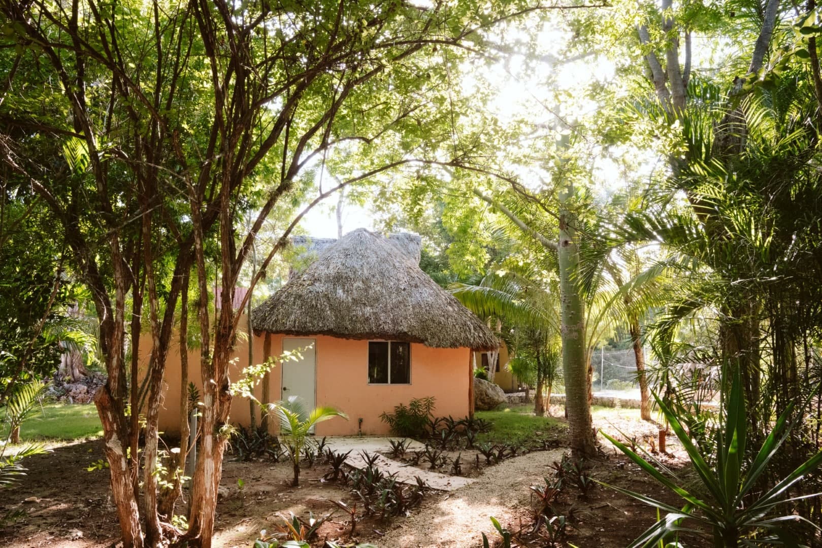 Cenote Kaax Jungle Retreat & Hotel - Image 8
