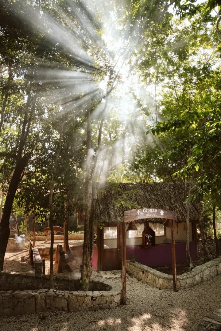Cenote Kaax Jungle Retreat & Hotel - Image 9