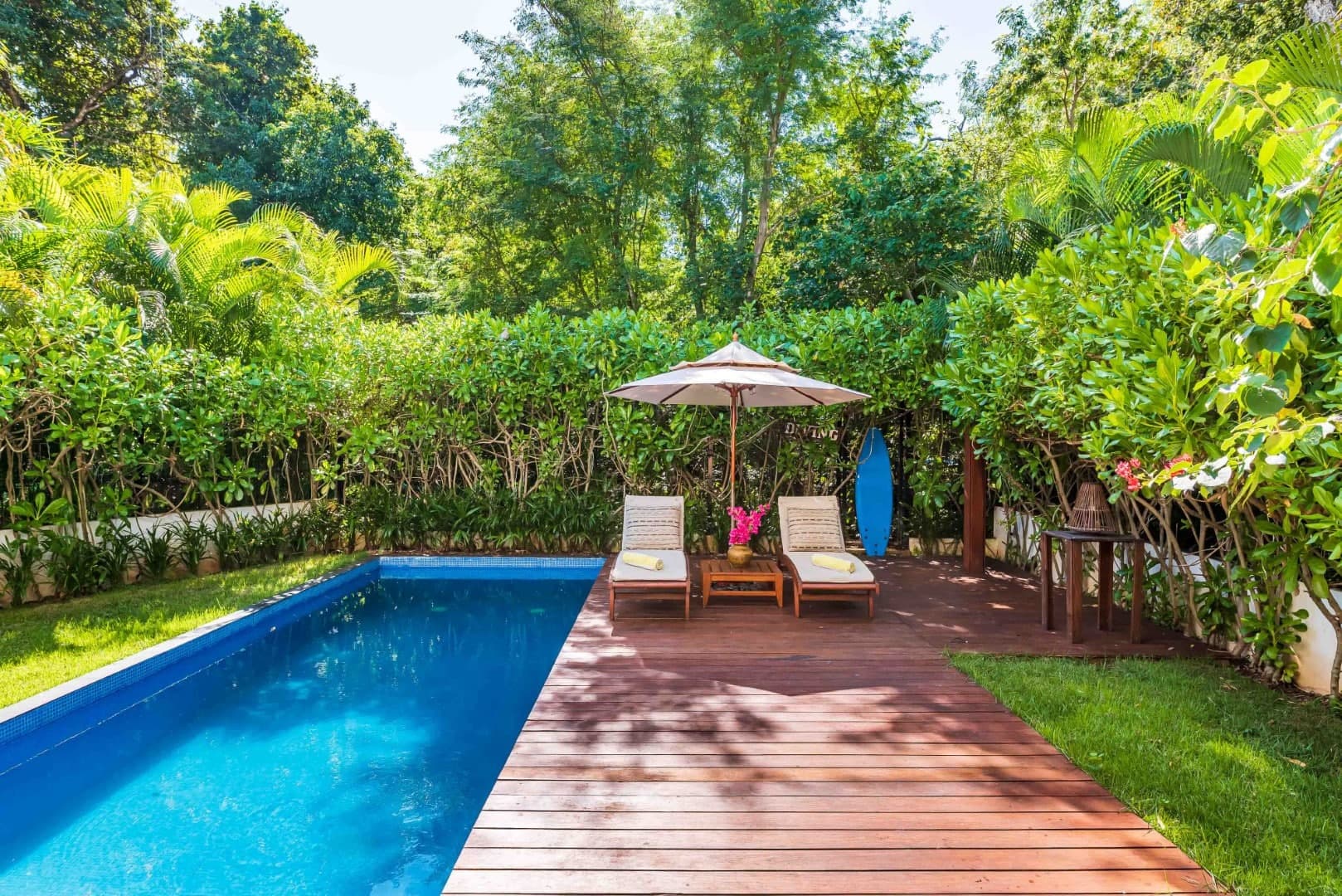 Club Real 230 - Image 4