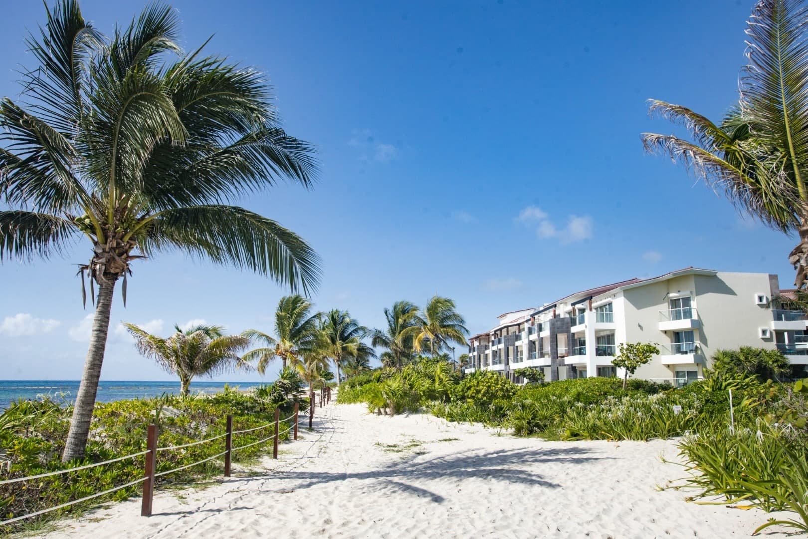 Mareazul 401 Sur - Image 7