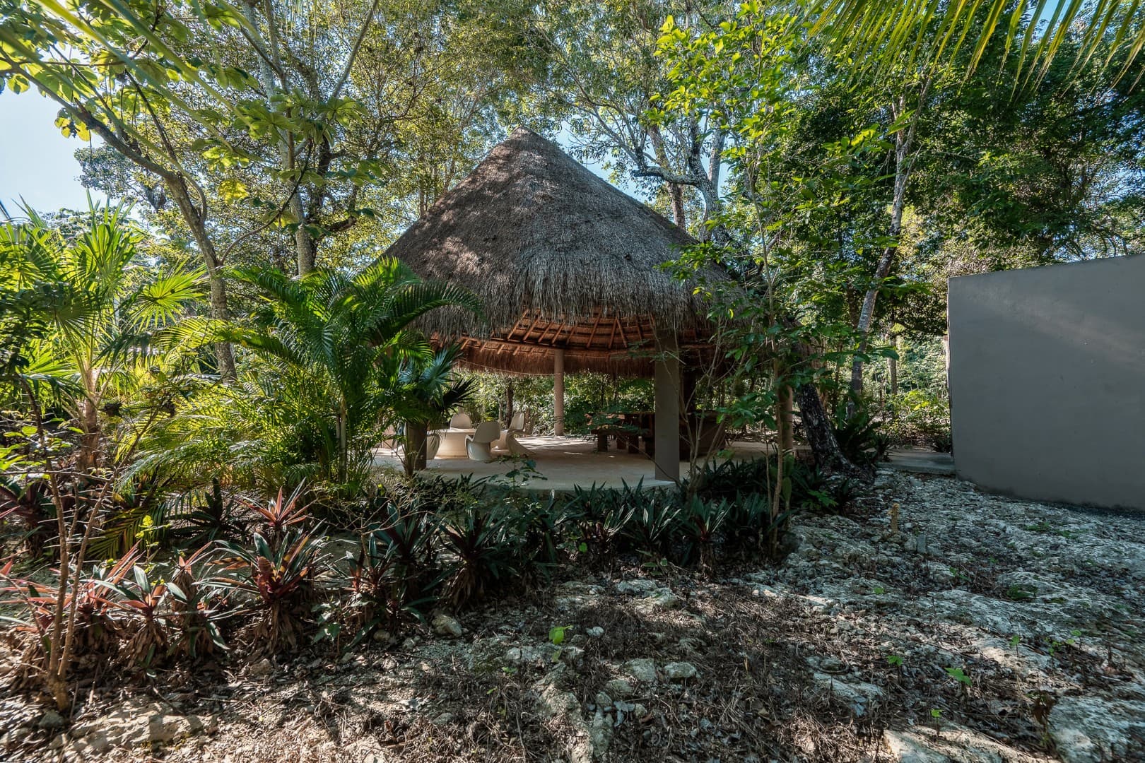 Multi-Unit: 3 Cenotes + Guest House on 1 Hectare - Image 18